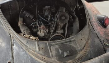 VW Bobbel 1200 oval full