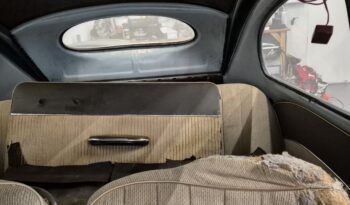 VW Bobbel 1200 oval full