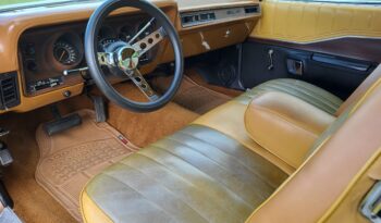 Dodge Charger Special Edition full