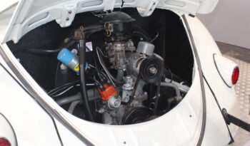 VW Bobbel Type 1 – 1200 full