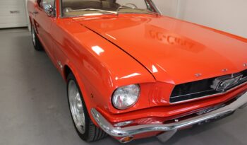 Ford Mustang 4.7 V8 289cui. Hardtop Coupe full