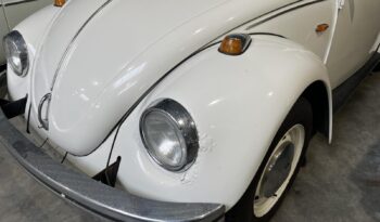 VW Bobbel 113 1300 full