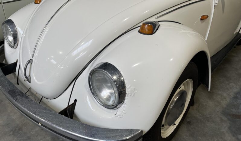VW Bobbel 113 1300 full