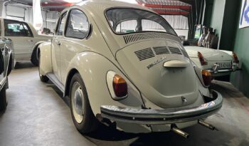 VW Bobbel 113 1300 full