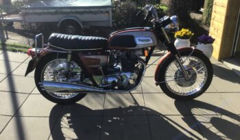 Triumph Trident full