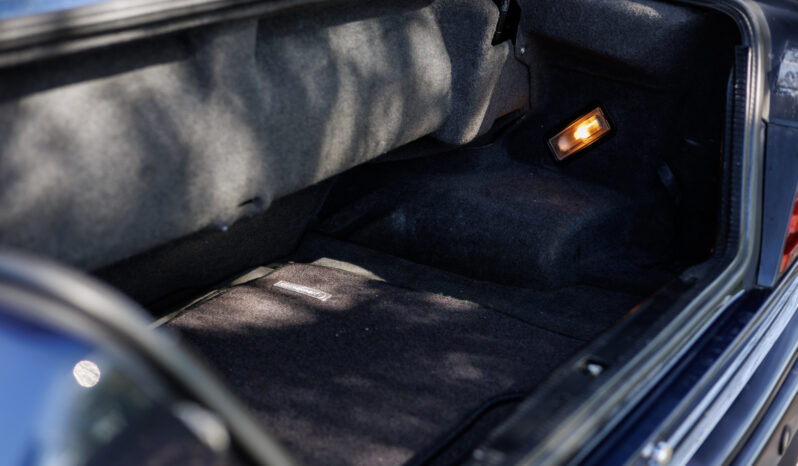 Mercedes-Benz E-Klasse (W124) E220 2,2 Cabriolet full