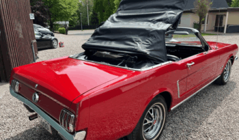 Ford Mustang 4,7 V8 Cabriolet aut. full