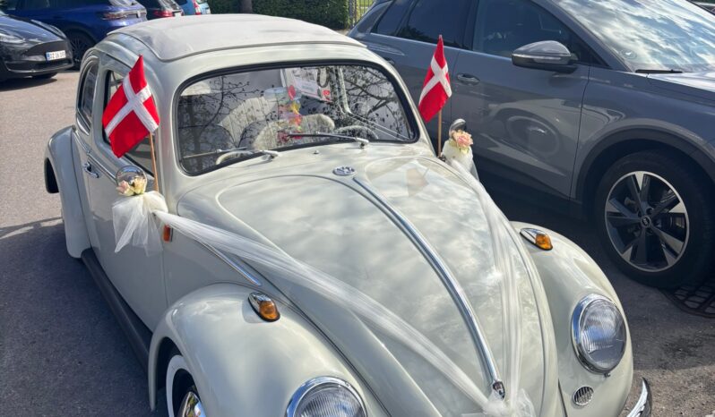 VW Bobbel type 1 full