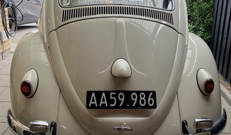 VW Bobbel type 1 full