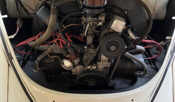 VW Bobbel type 1 full