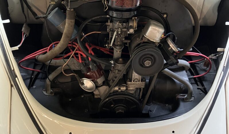 VW Bobbel type 1 full