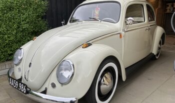 VW Bobbel type 1 full