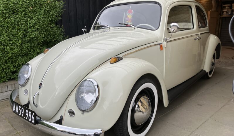 VW Bobbel type 1 full