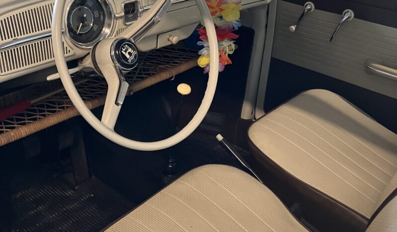 VW Bobbel type 1 full