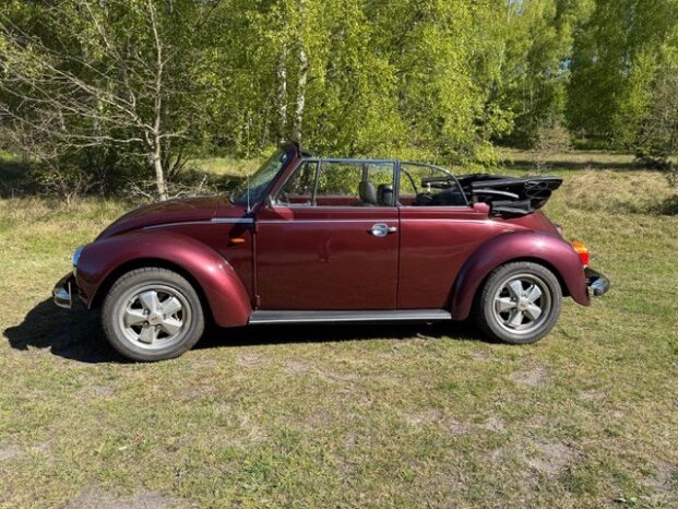 VW Bobbel 1303 1,6 LS Cabriolet full