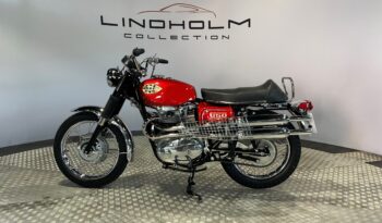 BSA 650 Firebird Scrambler full