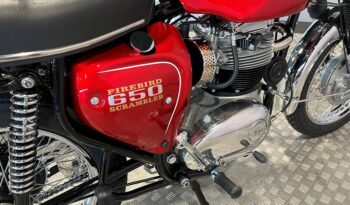BSA 650 Firebird Scrambler full