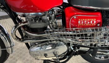 BSA 650 Firebird Scrambler full