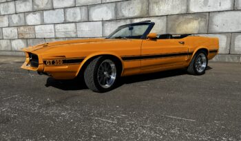 Ford Mustang Convertible Shelby GT-350 Tribute full