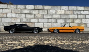 Ford Mustang Convertible Shelby GT-350 Tribute full