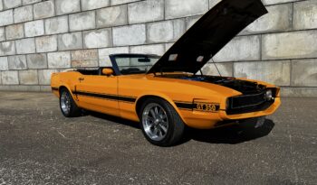 Ford Mustang Convertible Shelby GT-350 Tribute full