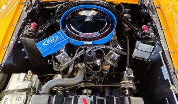 Ford Mustang Convertible Shelby GT-350 Tribute full