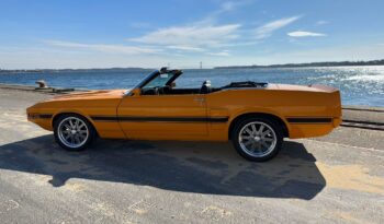 Ford Mustang Convertible Shelby GT-350 Tribute full