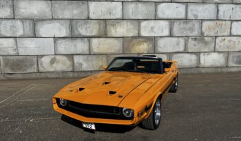 Ford Mustang Convertible Shelby GT-350 Tribute full