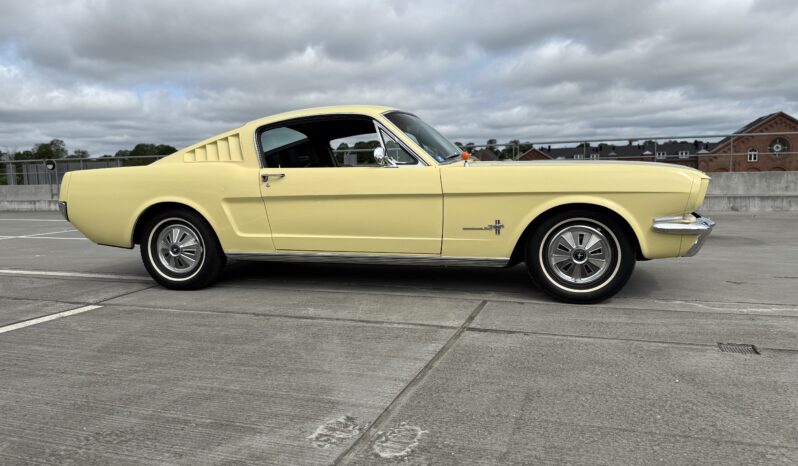 Ford Mustang Fastback full