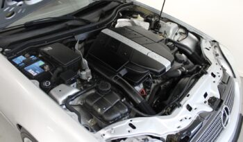 Mercedes-Benz SLK-Klasse (R170) 320 full