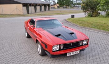 Ford Mustang Sportroof full