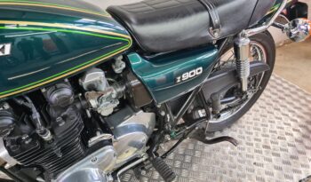 Kawasaki z-900 full