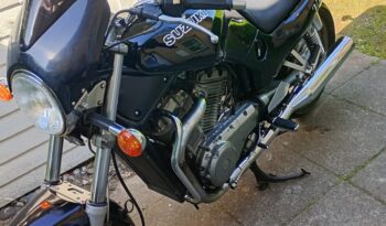 Suzuki VX 800 full