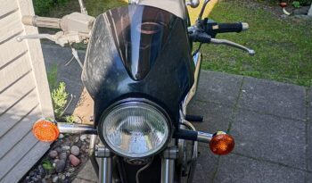 Suzuki VX 800 full