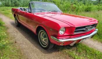 Ford Mustang Ford Mustang 4,7 V8 Cabriolet full