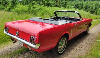 Ford Mustang Ford Mustang 4,7 V8 Cabriolet full