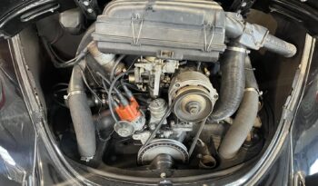 VW Bobbel 1600 Cabriolet full