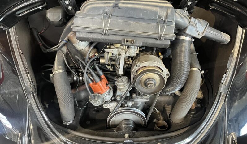 VW Bobbel 1600 Cabriolet full
