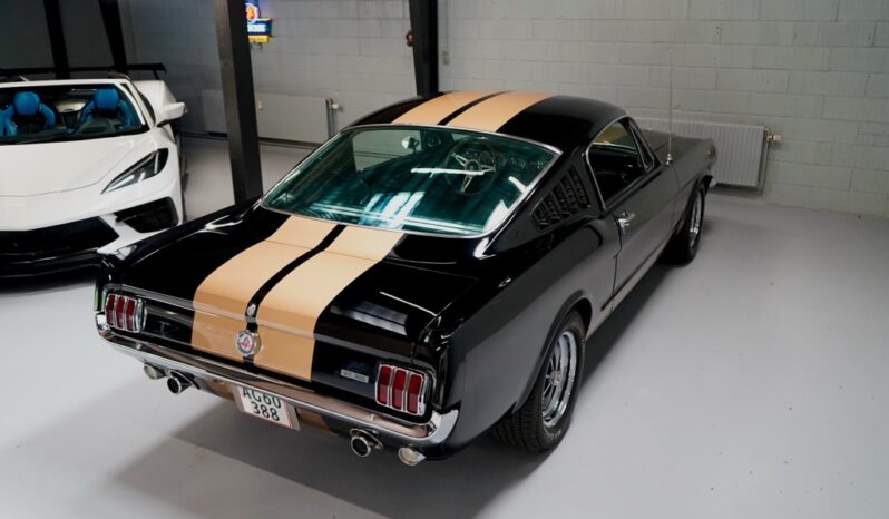 Ford Mustang Shelby 350 Hertz Clone full