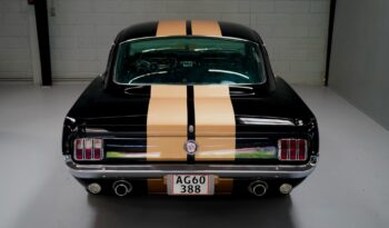 Ford Mustang Shelby 350 Hertz Clone full