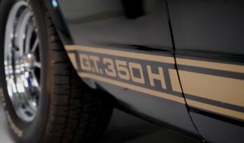 Ford Mustang Shelby 350 Hertz Clone full