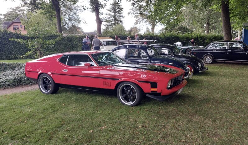 Ford Mustang Sportroof full