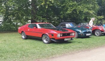 Ford Mustang Sportroof full