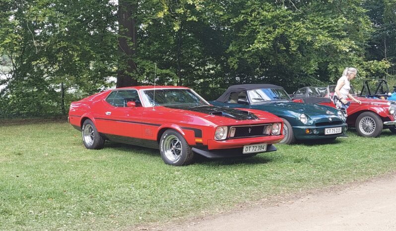 Ford Mustang Sportroof full