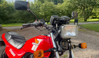 Honda FT500 Ascot full