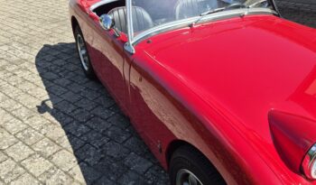 Austin-Healey Sprite Frogeye full