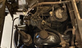 Sunbeam Tiger Tiger full