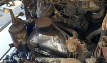 Sunbeam Tiger Tiger full