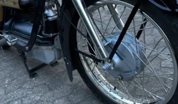 Nimbus 1955 full