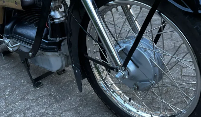 Nimbus 1955 full